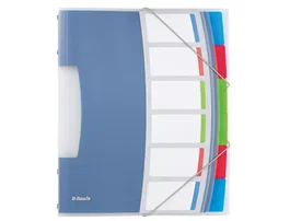 Esselte VIVIDA Carpeta Clasificadora de Fuelle DIN A4, 6 Compartimentos Multicolor