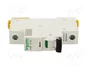 SCHNEIDER ELECTRIC iC60L 10A 1 Polo 15kA