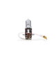 M-Tech Lámpara Halógena PK22S 24V/70W H3