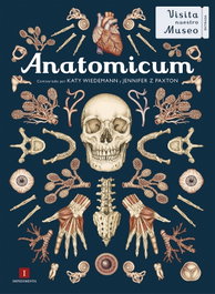 IMPEDIMENTA Anatomicum (El Chico Amarillo)