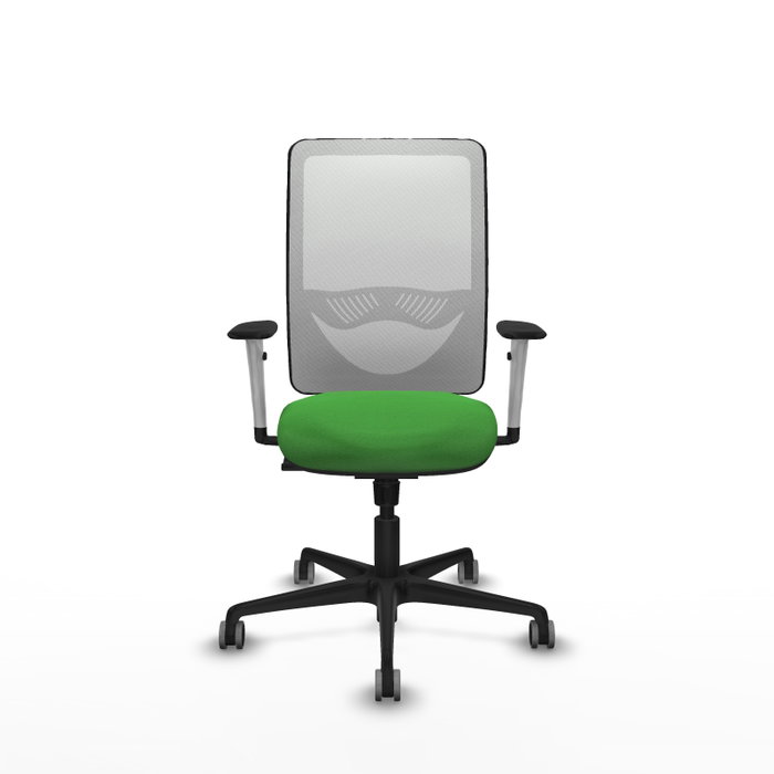 PIQUERAS Y CRESPO Silla de oficina Zulema Verde y Blanco PIQUERAS Y CRESPO Silla de oficina Zulema Verde y Blanco