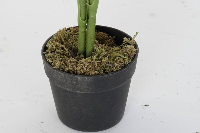 DKD Home Decor Planta Verde 40 x 100 x 40 cm