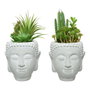 Suculenta artificial en cabeza de buda, modelo surtido, PVC verde, 14x23cm