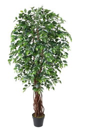 DKD Home Decor Árbol Ficus Verde de PE