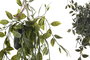 DKD Home Decor Planta PE 20x20x50 Surtida Verde