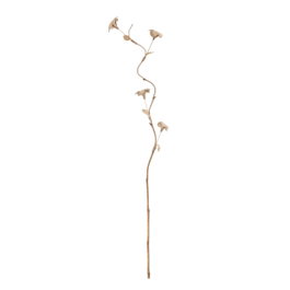 Ixia Rama Flor Beige Fibra Natural 27 x 27 x 170 cm