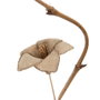 Ixia Rama Flor Beige Fibra Natural 27 x 27 x 170 cm