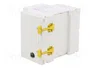 Schneider Electric ACTI9 Limitador de sobretensiones Tipo 2 3+N