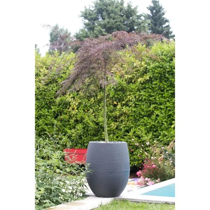 Eda 13737GANTPX12 Olla Redonda Grafito Ø50cm - Capacidad 53L - Gris Antracita