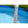 BSI Alguicida para Estanques Aqua Power Doble Acción 1,6 kg, Potente Clarificador, Tratamiento de Agua, Gran Capacidad - BSI5425001716555