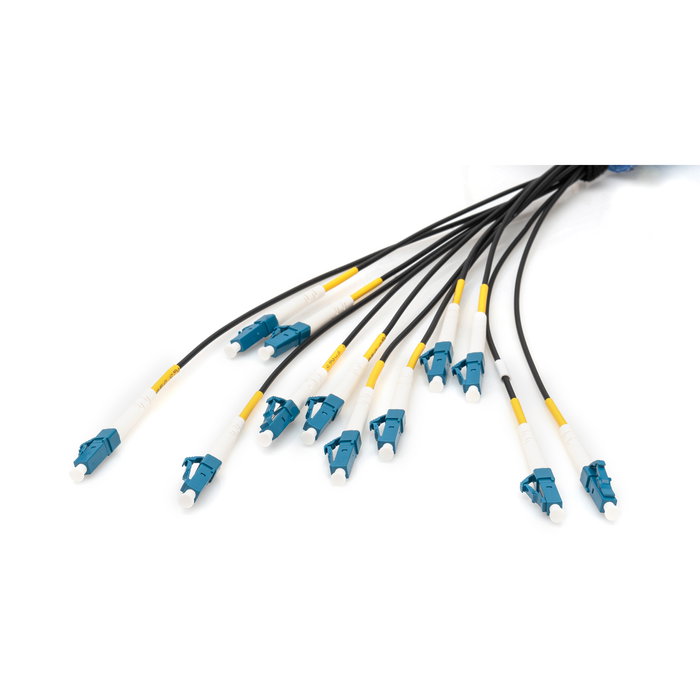 Digitus Cable de Fibra Óptica U-DQ(ZN) BH Monomodo OS2 12 Fibras LC/UPC a LC/UPC 150m Digitus Cable de Fibra Óptica U-DQ(ZN) BH Monomodo OS2 12 Fibras LC/UPC a LC/UPC 150m