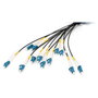 Digitus Cable de fibra óptica Breakout Universal OS2, 12 fibras, LC/UPC - LC/UPC, 150 m