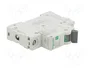 SCHNEIDER ELECTRIC Easy9 Pro EZ9F57106 Interruptor magnetotérmico 6A 1P 6kA