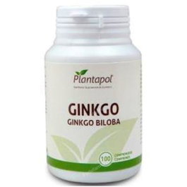 Ginkgo