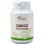 PLANTAPOL Ginkgo Biloba 600mg 100 comprimidos