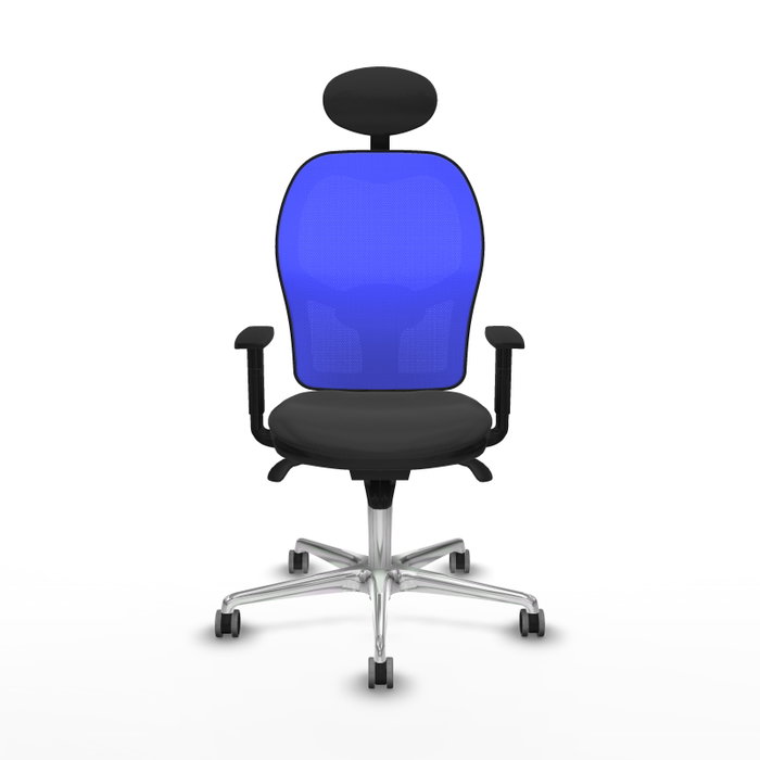 PIQUERAS Y CRESPO Silla de oficina Jorquera con mecanismo Sincro, Gris oscuro y Azul PIQUERAS Y CRESPO Silla de oficina Jorquera con mecanismo Sincro, Gris oscuro y Azul