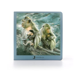 Animales en familia 2, AA.VV. - NOWORDBOOKS SCP