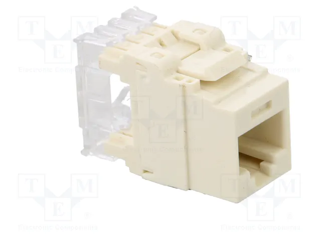 PANDUIT Conector RJ45 hembra Cat 6a blanco PANDUIT Conector RJ45 hembra Cat 6a blanco