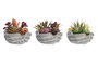 DKD Home Decor Planta de PP y Espuma Multicolor, Surtido de 3, 6 Piezas