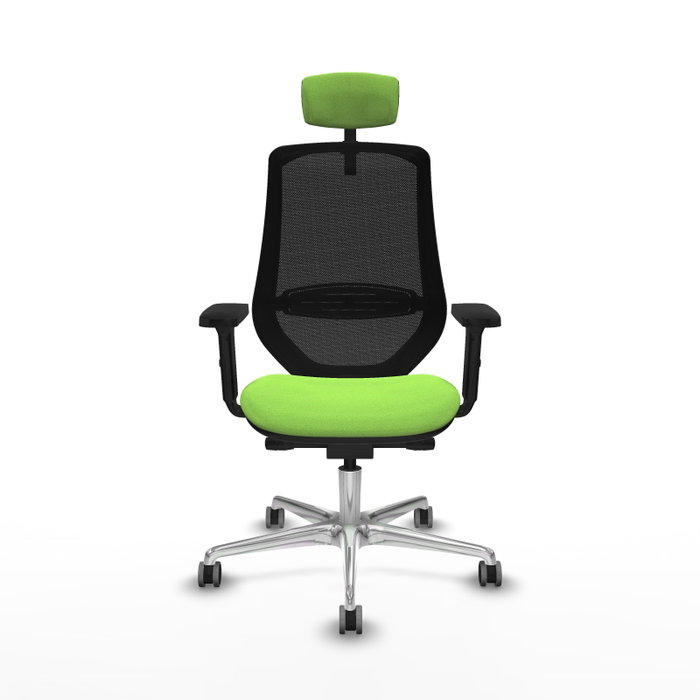 PIQUERAS Y CRESPO Silla de oficina Mardos con mecanismo Sincro/Traslack, Pistacho y Negro PIQUERAS Y CRESPO Silla de oficina Mardos con mecanismo Sincro/Traslack, Pistacho y Negro