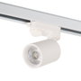 Foco de Carril Trifásico 10W COB Regulable Blanco 4000K
