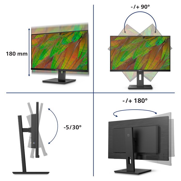 Philips 32B1N3800/00 Monitor 80 cm (31.5") 4K Ultra HD (3840x2160) VA, 122% sRGB, HDMI 2.0, DisplayPort 1.4, USB Hub, Altavoces, Ajustable, Negro
