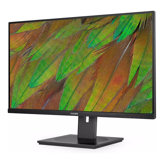 Philips 32B1N3800/00 Monitor 80 cm (31.5") 4K Ultra HD (3840x2160) VA, 122% sRGB, HDMI 2.0, DisplayPort 1.4, USB Hub, Altavoces, Ajustable, Negro
