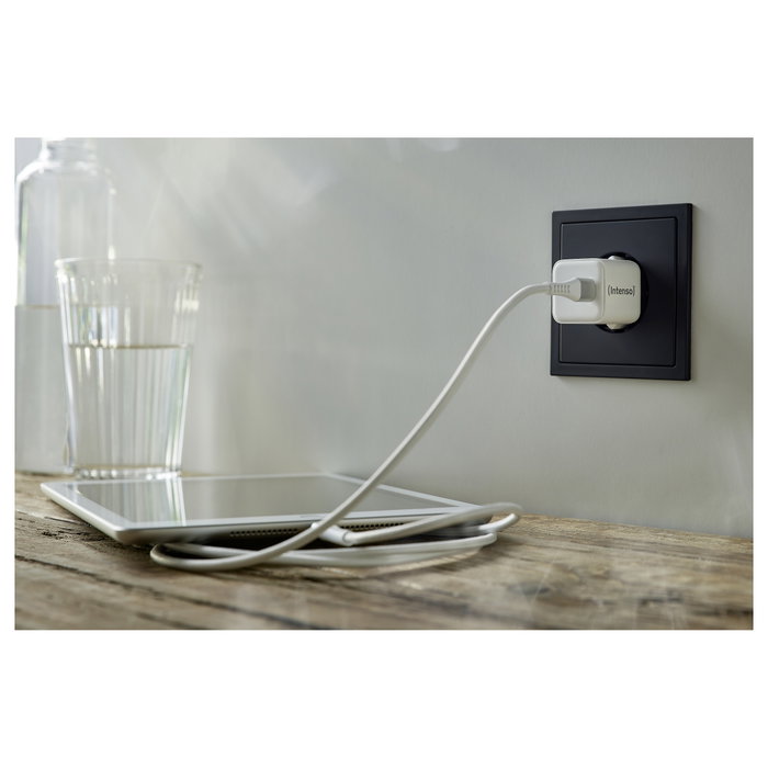 Intenso W30C GaN Adaptador de Corriente Blanco 1x USB-C 30W