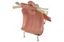 DKD Home Decor Vehículo de Decoración Metal Surtido Blanco y Rosa