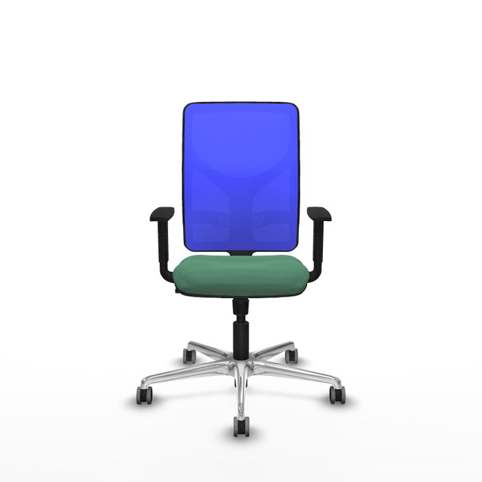 PIQUERAS Y CRESPO Silla de oficina Motilla con mecanismo Sincro, Verde esmeralda y Azul PIQUERAS Y CRESPO Silla de oficina Motilla con mecanismo Sincro, Verde esmeralda y Azul