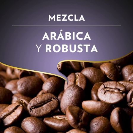 Lavazza Espresso Barista Intenso Café en Grano Tueste Tambor Intensidad 9 Notas Cacao Madera 500g
