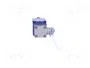 TELEMECANIQUE SENSORS XCKJ10559 Interruptor de fin de carrera NO + NC 10A