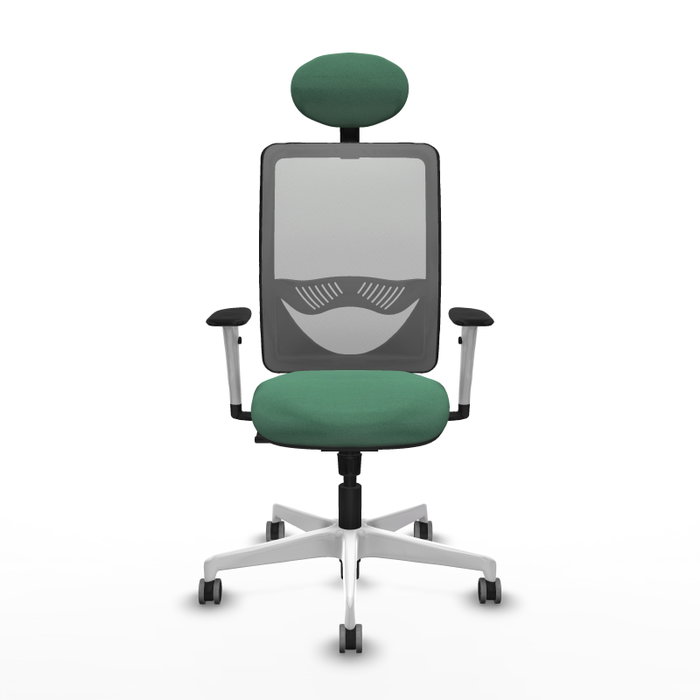 PIQUERAS Y CRESPO Silla de oficina Zulema con mecanismo Sincro Verde esmeralda y Gris PIQUERAS Y CRESPO Silla de oficina Zulema con mecanismo Sincro Verde esmeralda y Gris