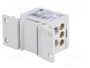 PAWBOL Bloque de distribución 160A 600V Gris