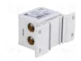 PAWBOL Bloque de distribución 160A 600V Gris