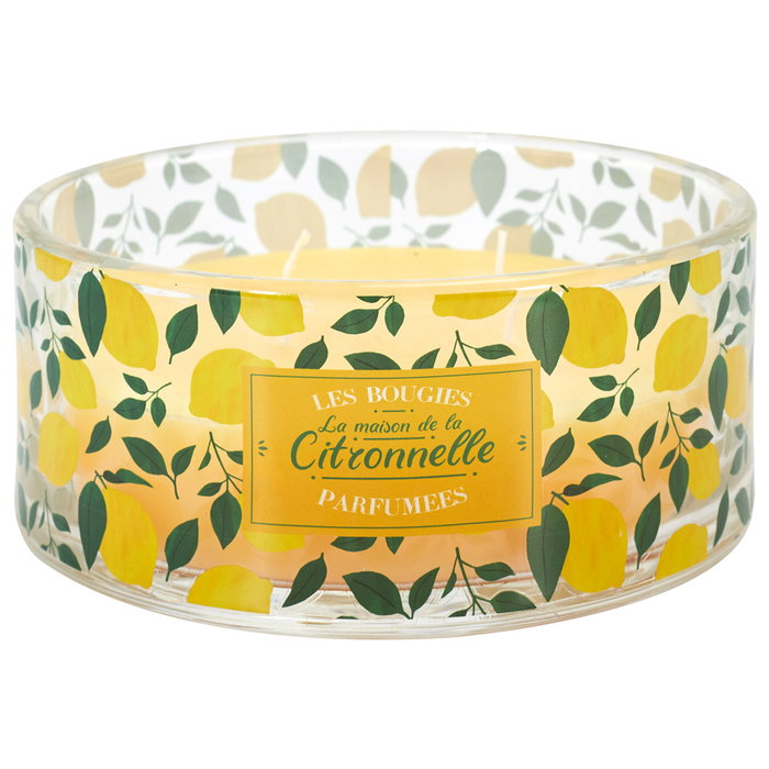 Home Deco Factory Vela Citronela Antimoustique 4 Mechas Vidrio 760g d.19cm h.7,5cm 25h