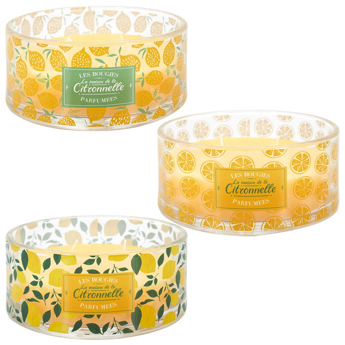 Home Deco Factory Vela Citronela Antimoustique 4 Mechas Vidrio 760g d.19cm h.7,5cm 25h