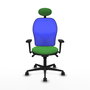 PIQUERAS Y CRESPO Silla de oficina Jorquera Verde y Azul