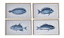 DKD Home Decor Cuadro Cristal MDF 50x2,8x40 Pez Surtido de 4 Unidades