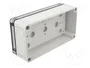 SPELSBERG TK PC 1809-6-TO Carcasa Universal de Policarbonato Gris