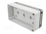 SPELSBERG TK PC 1809-6-TO Carcasa Universal de Policarbonato Gris