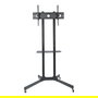 Techly ICA-TR6 Soporte móvil con ruedas para TV, altura ajustable, compatible con pantallas LCD/LED de 30" a 65" (76-165 cm), soporte VESA, carga hasta 60 kg, color negro