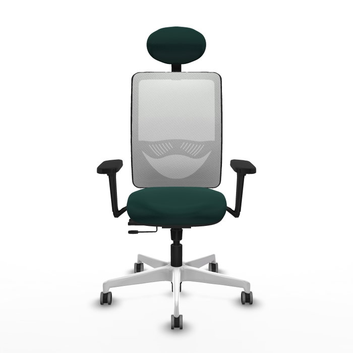PIQUERAS Y CRESPO Silla de oficina Zulema con mecanismo Sincro/Traslack, Verde botella y Blanco PIQUERAS Y CRESPO Silla de oficina Zulema con mecanismo Sincro/Traslack, Verde botella y Blanco