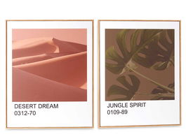 Giftdecor Cuadro Hoja Desierto Moldura Haya Surtidos 41.5x51.5x2 cm (Set de 2)