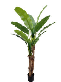 DKD Home Decor Planta Bananera Verde (Pack de 2)