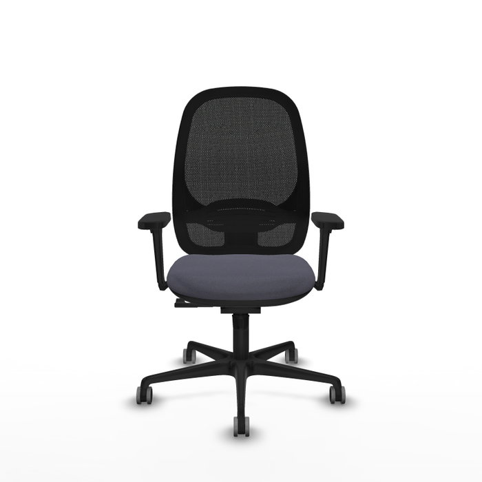 PIQUERAS Y CRESPO Silla de oficina Cilanco con mecanismo Sincro, Gris oscuro y Negro PIQUERAS Y CRESPO Silla de oficina Cilanco con mecanismo Sincro, Gris oscuro y Negro