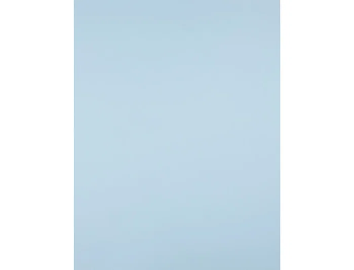 Liderpapel Cartulina Azul 50x65 cm 240g/m² (25 hojas)