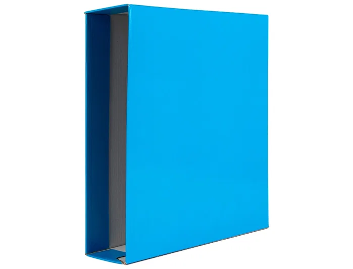 Liderpapel Cartulina Azul 50x65 cm 240g/m² (25 hojas)