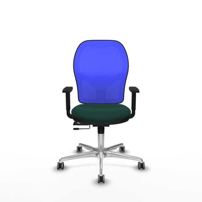 PIQUERAS Y CRESPO Silla de oficina Jorquera Verde botella y Azul PIQUERAS Y CRESPO Silla de oficina Jorquera Verde botella y Azul
