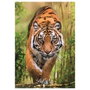 CLEMENTONI Puzzle The Hunter'S Path 1000pzs